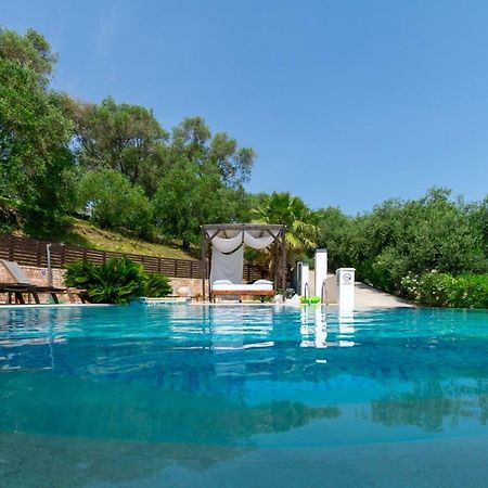 Ionian Pearl Luxury Spa Villa Μεσογγή Εξωτερικό φωτογραφία